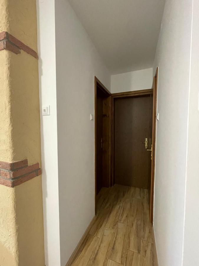 Apartment Zupanc 博希尼 外观 照片